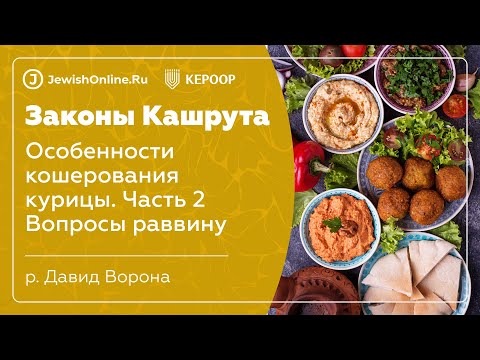 Законы кашрута. Урок 24. Особенности кошерования курицы. Часть 2. Вопросы раввину