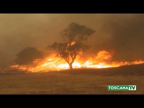 2017-08-29 TOSCANA - LA TOSCANA BRUCIA, MOLTI GLI INCENDI