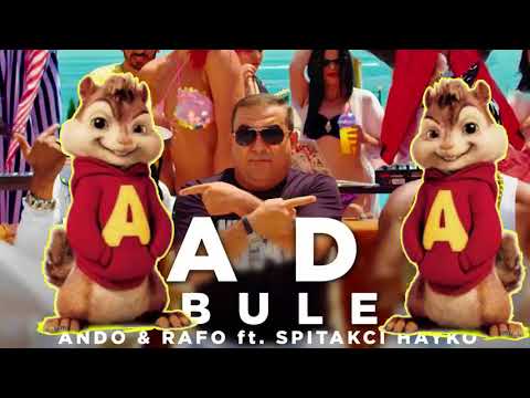 LADY KOBULETI   Chipmunks Burunduki 2018