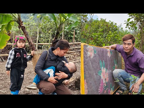 Récoltez des pousses de bambou sous terre pour les vendre au marché - cultivez des bananes