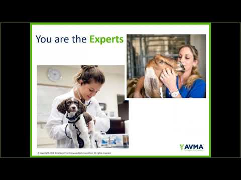AVMA Update