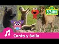 Plaza Sésamo Mueve La Cabeza Sacúdete Y Trepa Como Los Animales Con Elmo Y Abby