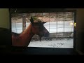 UNC TV Rootle Greensboro Science Center 2017