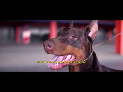 HAZE - Rap Flamenco ft EL CANELITA (Doctor Haze, 2010)