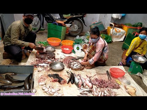 Chheko Morning Fish Market in Kilo 6-Russey Keo-Phnom Penh [Cambodian Fish Markets