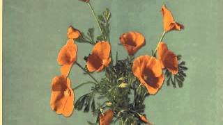 Really Old Airplanes - Perennials