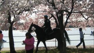 I'll Remember April Music Video