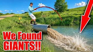 INSANE First Time Bank Fishing at my NEW House!