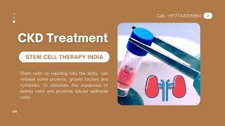 Stem Cell Therapy for Kidney Failure in India, Latest Treatment for Chronic Kidney Disease | SCTCI
