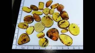  Křídový jantar SJ-79