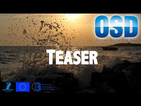 The Ocean Sampling Day 2014 - The Teaser