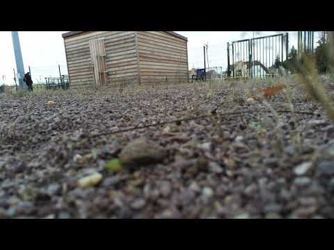 U13D1 (4-3) - Entente Sportive Molsheim - Ernolsheim / RC Strasbourg /Part 10