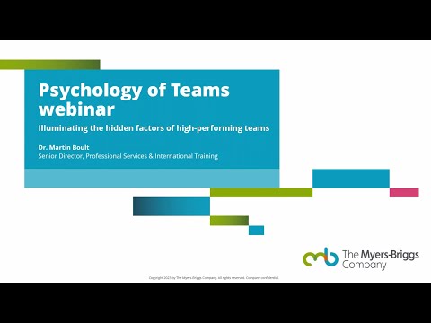 The Psychology of Teams: Illuminating the hidden factors of high-performing teams
