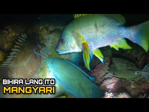 Night Spearfishing Hunting Fresh Seafood | Puro First Class Ang Huli