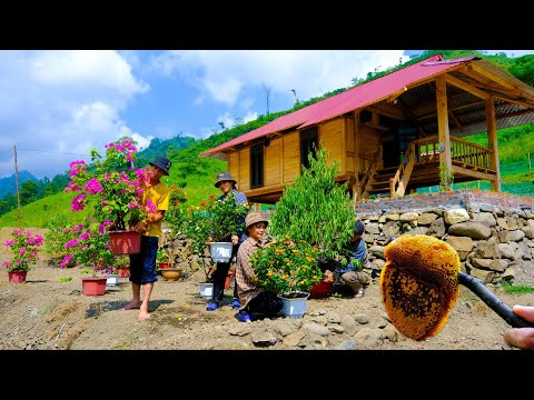 Ein neues Leben aufbauen  65|Pflanzen Sie Blumen um den Hof zu verschönern gehen Sie Waldhonig holen