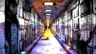 Trail Of Insects-Greatest Kills Vol 3 Part 1