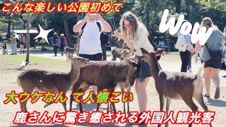 こんな楽しい公園初めて🌸🦌鹿さんに驚き癒される外国人観光客🌿✨NARA DEER | Wonderful, dear Park ‼️￼