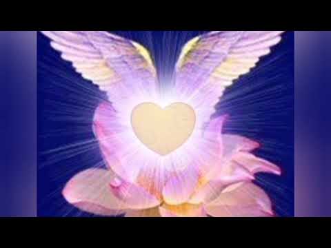 Meditação com a Mãe Divina