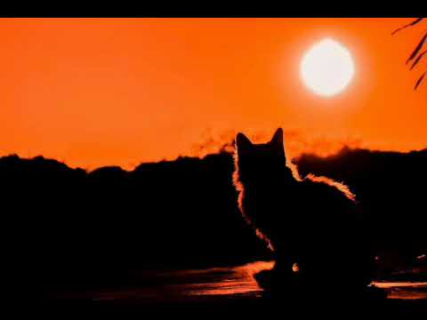 Sun in Scorpio, Moon in Libra : Light & Shadow...Love Is A Loaded Issue