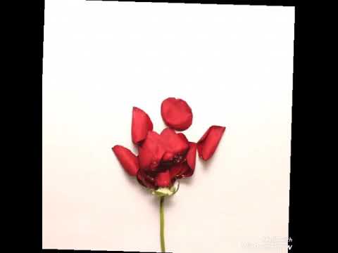 MC Janko feat. Aleksandra matrix - Neka traje(tekst)