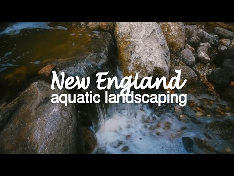 THE ART OF A WATER FEATURE