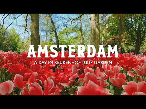 amsterdam vlog 🇳🇱 | a day in Keukenhof tulip garden