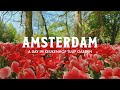 Amsterdam Vlog A Day In Keukenhof Tulip Garden