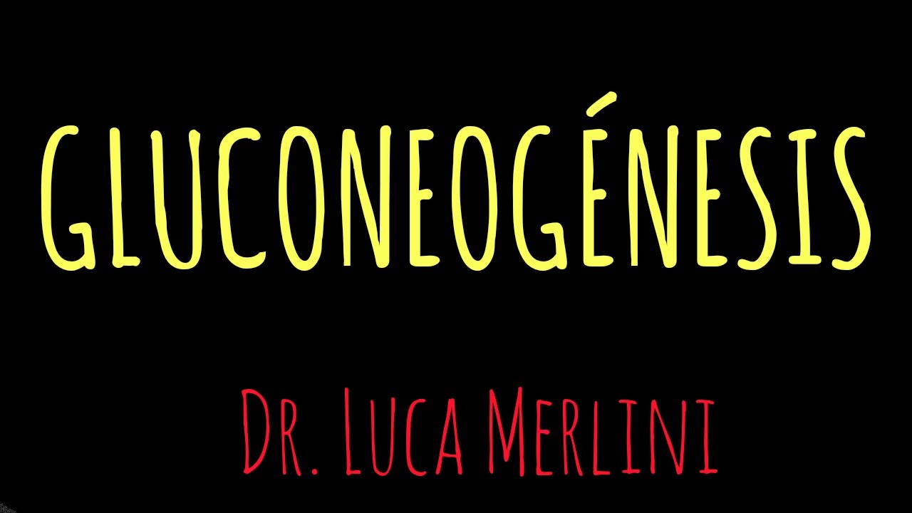 Gluconeogénesis
