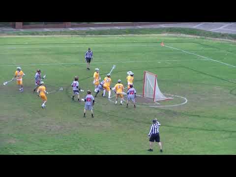 Men's Lacrosse Highlights vs Quincy
