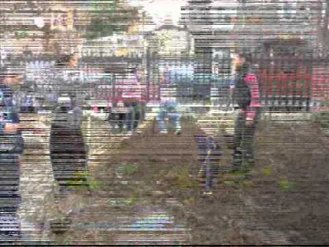 Invidie si nerusinare