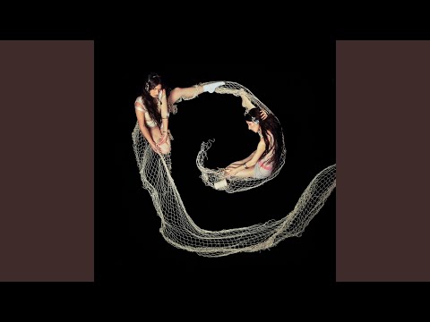 Video thumbnail for Butterfly Net (Remix)