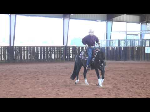 Hip #330 - Smart Smokin Lad