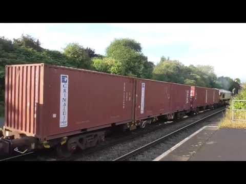 DB schenker 66035 with Arpley to portbury empty car train
