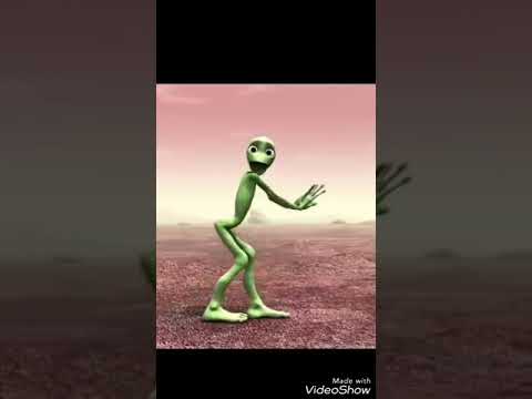 Rohito _Jessi Flavi One