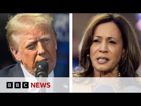 Video | US election enters final day of campaigning | BBC News
