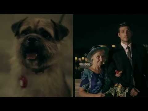 BuSKAnjo - Te meg Én