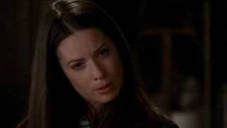 All About Holly Marie Combs