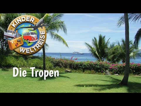 Die Tropen - einfach erklärt! Lage, Merkmale, Vegetationszonen