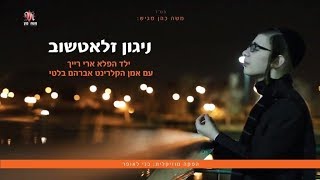 ארי רייך & אברהם בלטי - ניגון זלאטשוב | Ari Reich & Avrohom Balti - Nigun Zlotshov