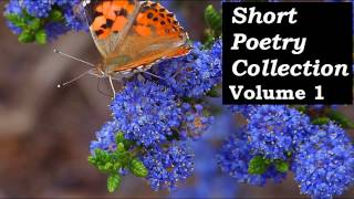 Short Poetry Collection Volume 1 - FULL AudioBook - Poems & Prose