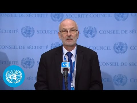 Estonia on Ukraine - Security Council Stakeout | United Nations