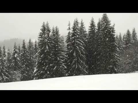 🔴 Snow falling in Rural Norway (Hadeland)