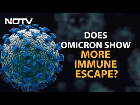 Top News Of The Day: Omicron Has "Very High" Global Risk, Says WHO | The News