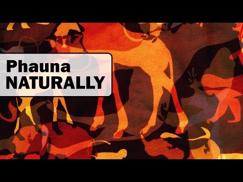 Phauna - Naturally (Original Mix)