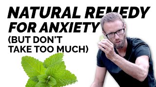 Natural Remedy For Anxiety? Lemon Balm (Melissa officinalis)