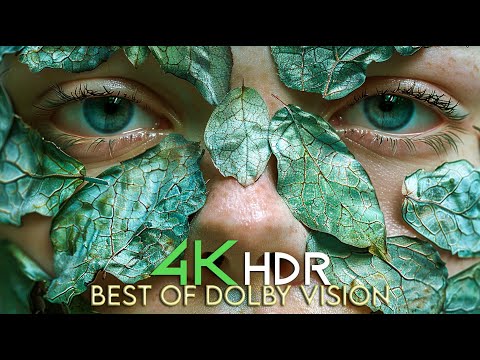Mind-Blowing OLED Dolby Vision in 4K HDR at 240 fps