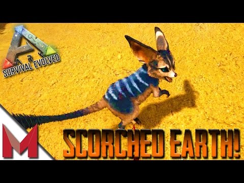 ARK: SCORCHED EARTH  -=- POOPING EVOLVED -=- S1E1