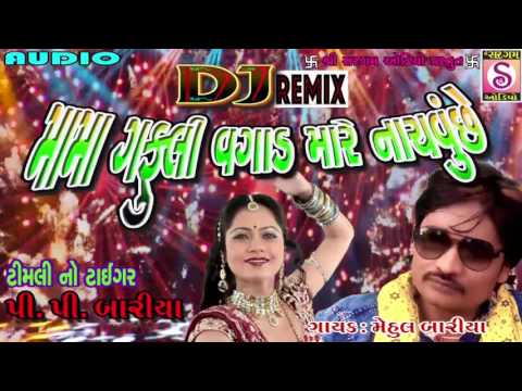 Mama Gafuli Vagad Maare Nachavu Chhe | PP Bariya | Mehul Bariya | DJ Timli | पीपी बारिया टीमली