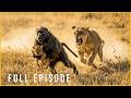 SEASON OF THE CROSSING Life Hangs In The Balance Full Episode Nature Animal Documentary