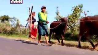 Download lagu Lalo Ngaro (DAMARWULAN) Karya: Al Mahsyar & Mamiq Sukma Arr: O.M. Pelita Harapan mp3